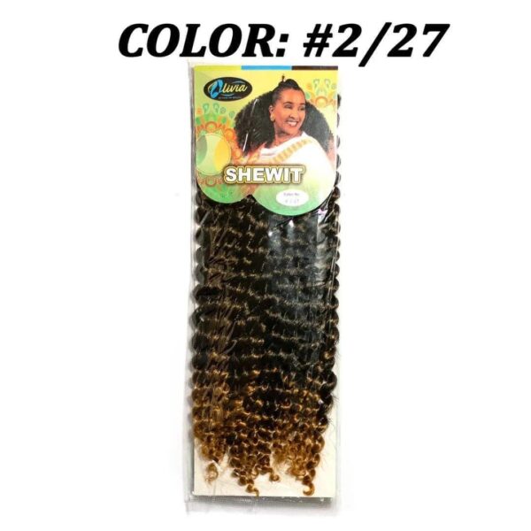 Shewit Hair - Colour #2/27